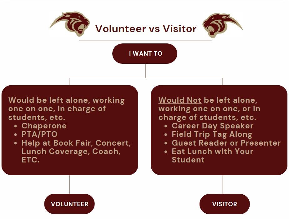 Volunteer vs Visitor